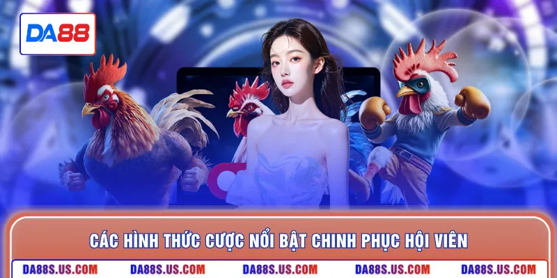 Các hình thức cược nổi bật chinh phục hội viên