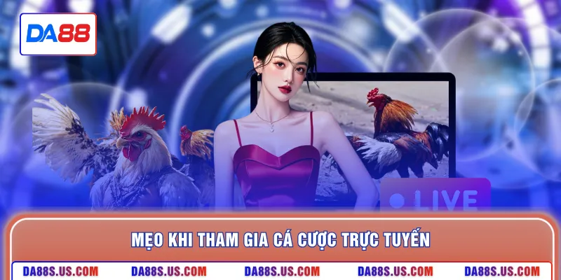Mẹo khi tham gia cá cược trực tuyến