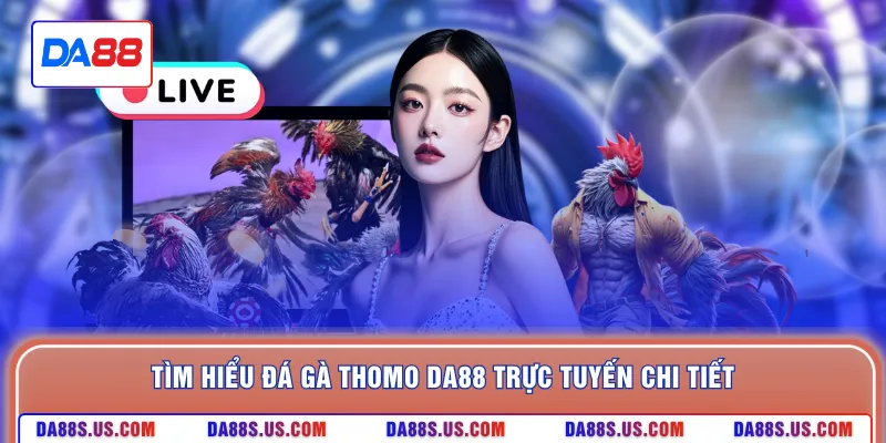 Tìm hiểu đá gà thomo DA88 trực tuyến chi tiết